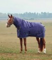 WEATHERBEETA COMFITEC TYRO COMBO TURNOUT  50GRM